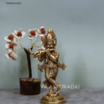 krishna murti