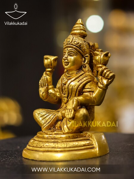 lakshmi 5.5 (3)
