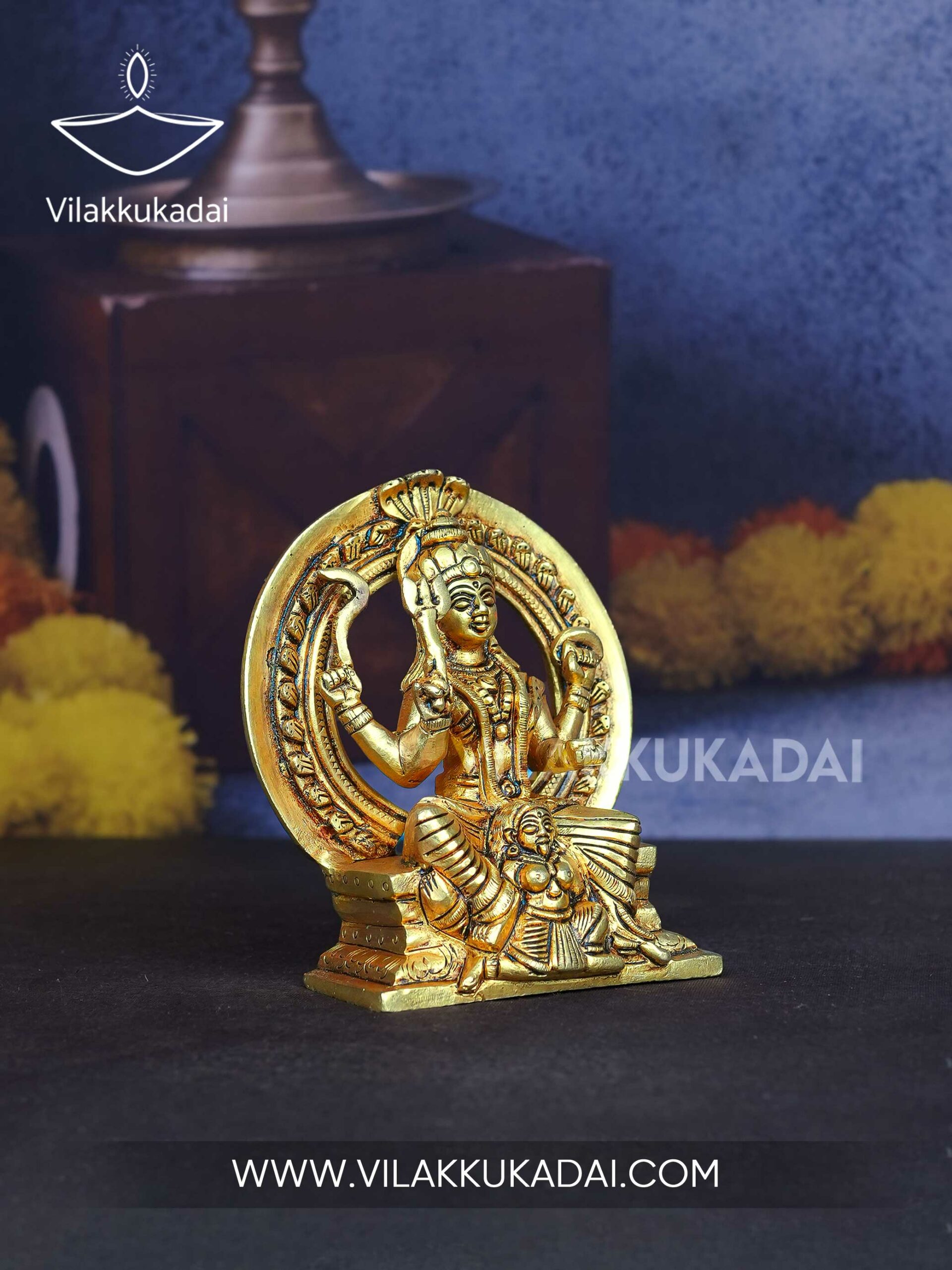 AATUKAAL-BAGAVATHY-3