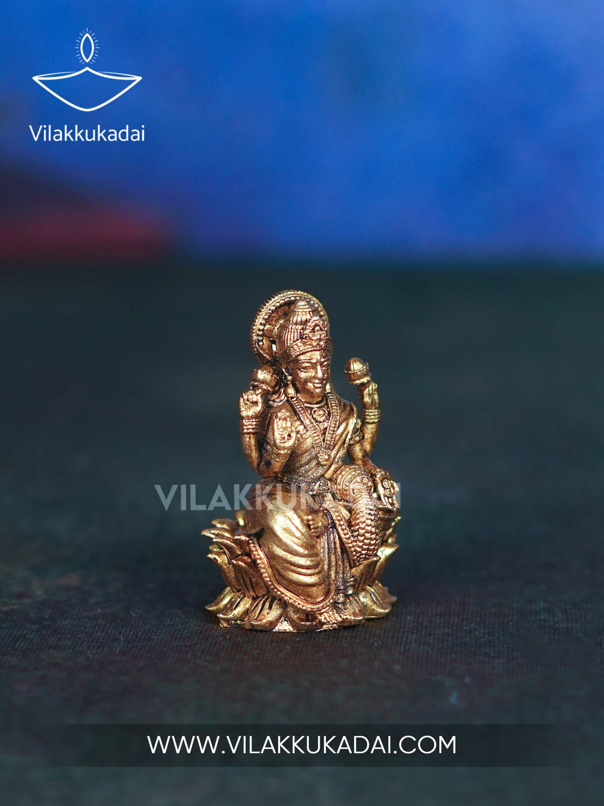 coin-lakshmi-lotus-3