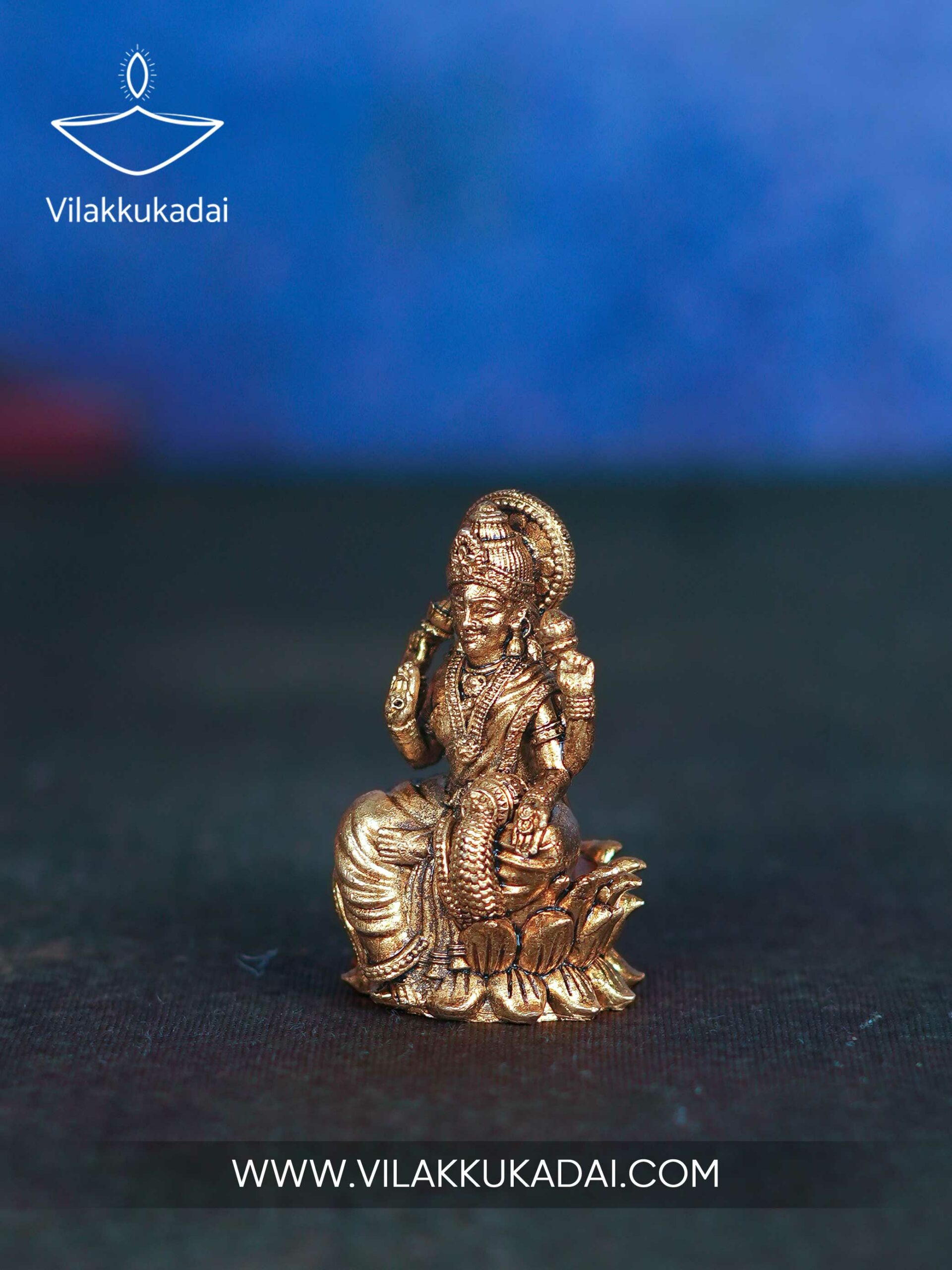 coin-lakshmi-lotus-4