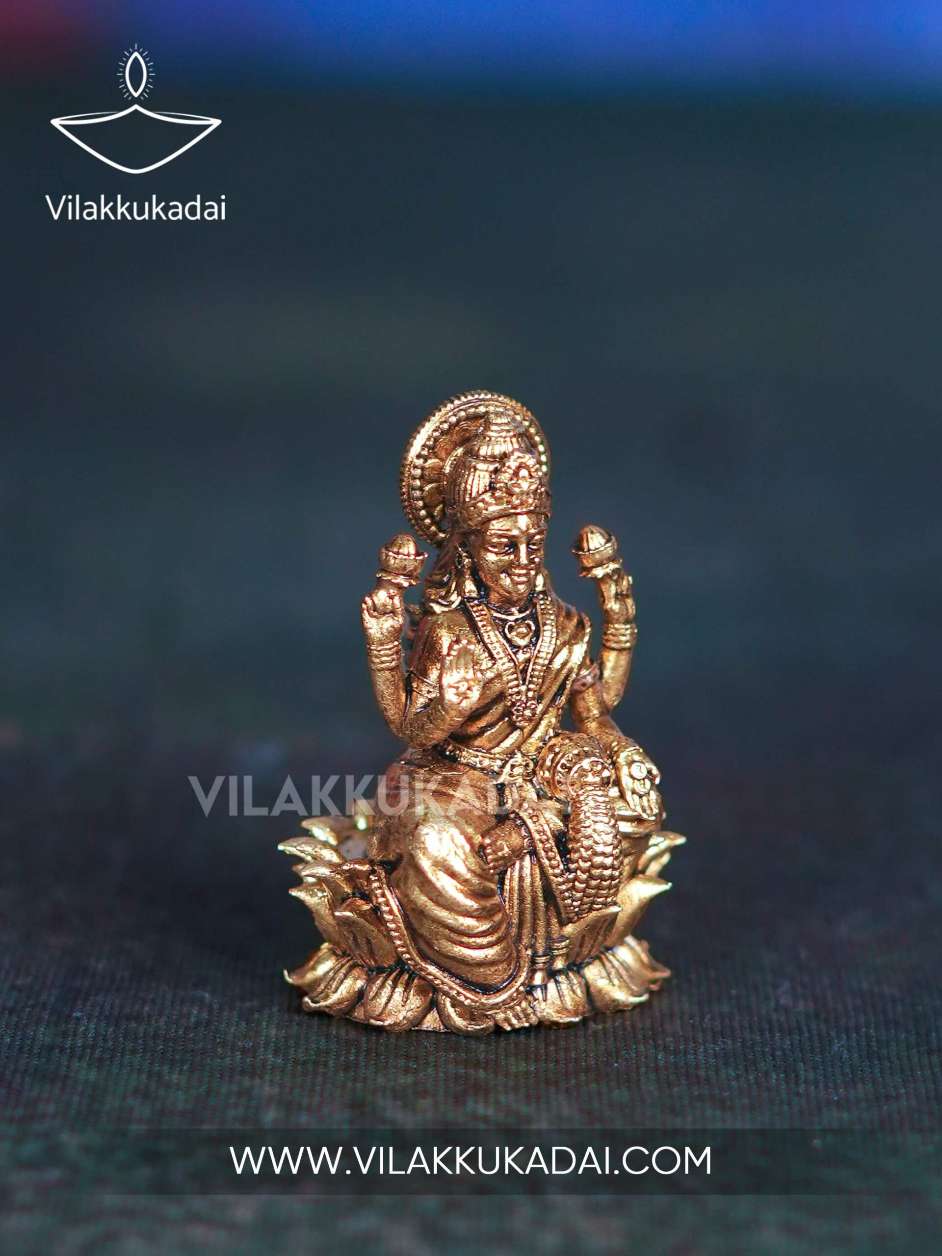coin-lashmi--lotus-5