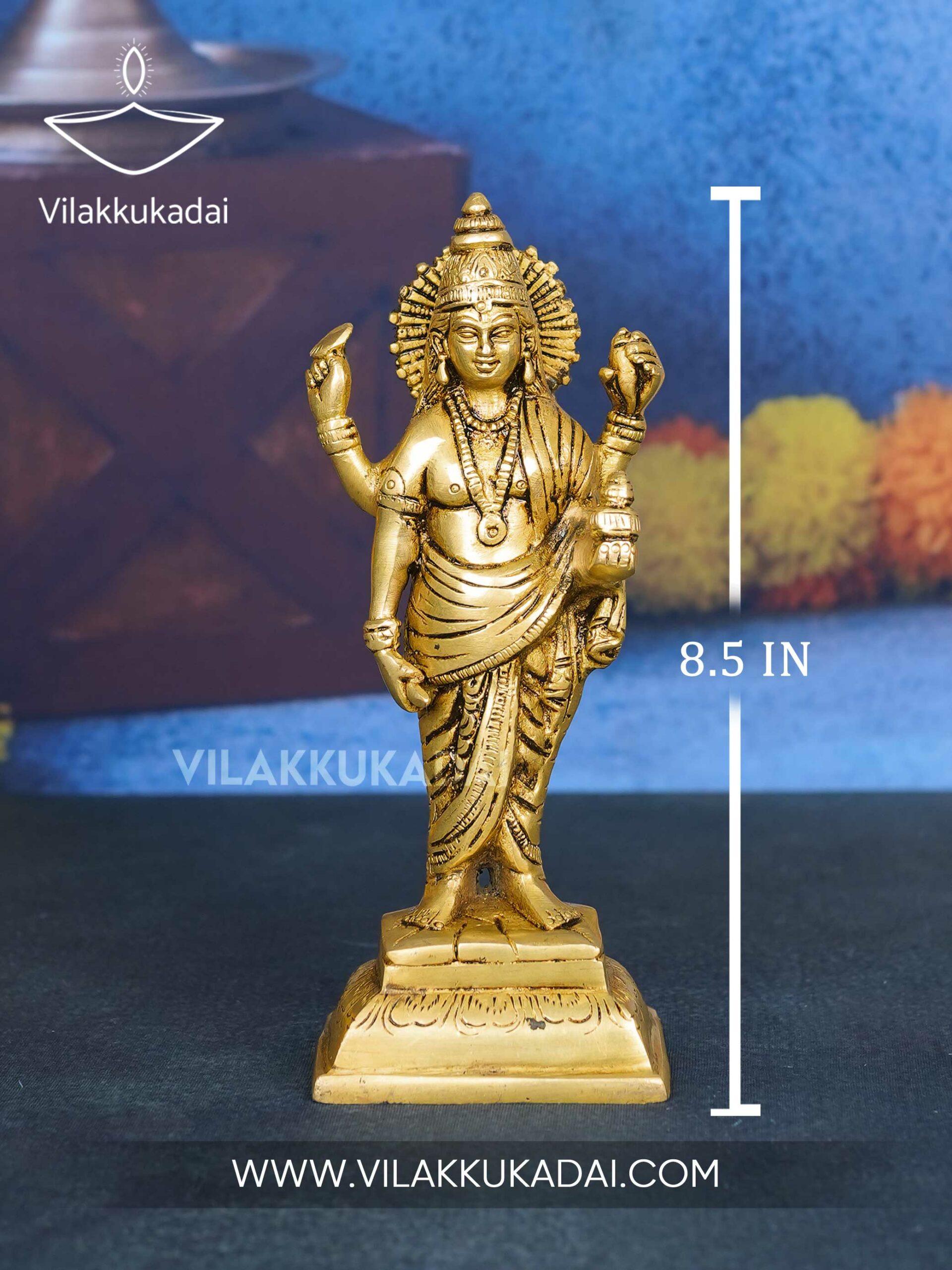 dhanvant9--2