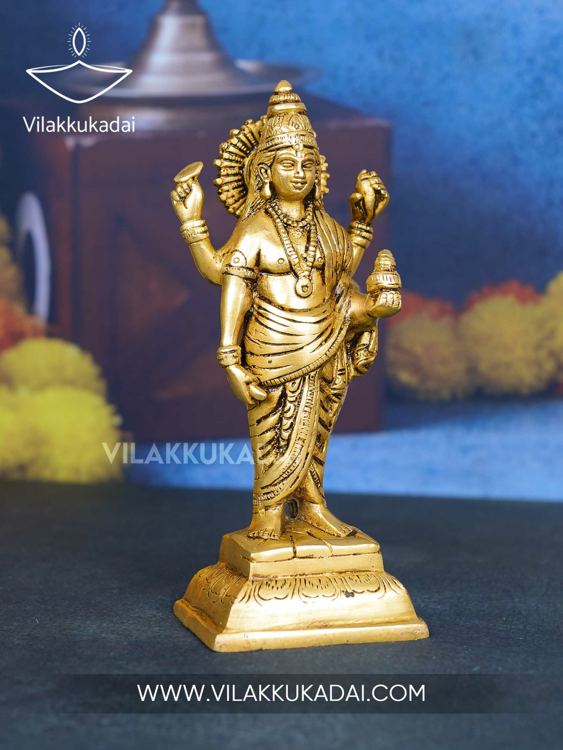 dhanvant9--4