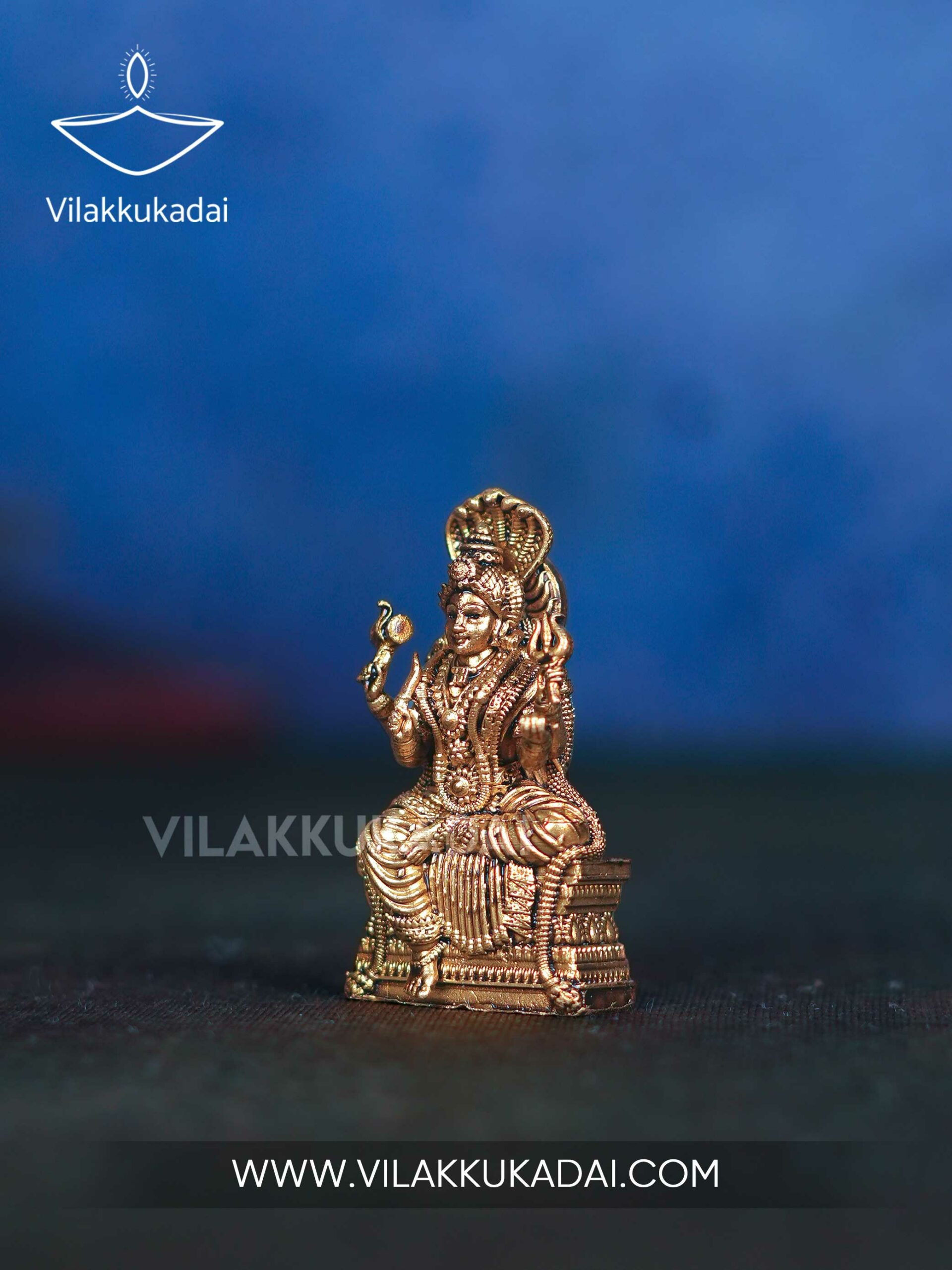 mariamman-3