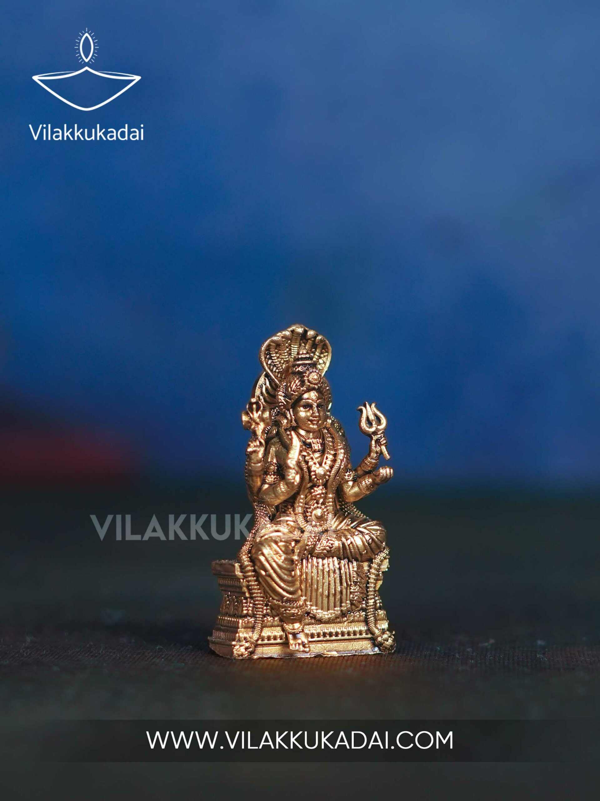 mariamman-4
