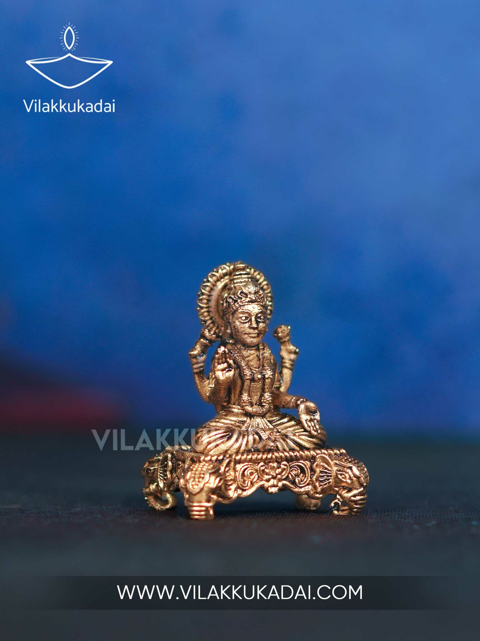 sac-lakshmi-3
