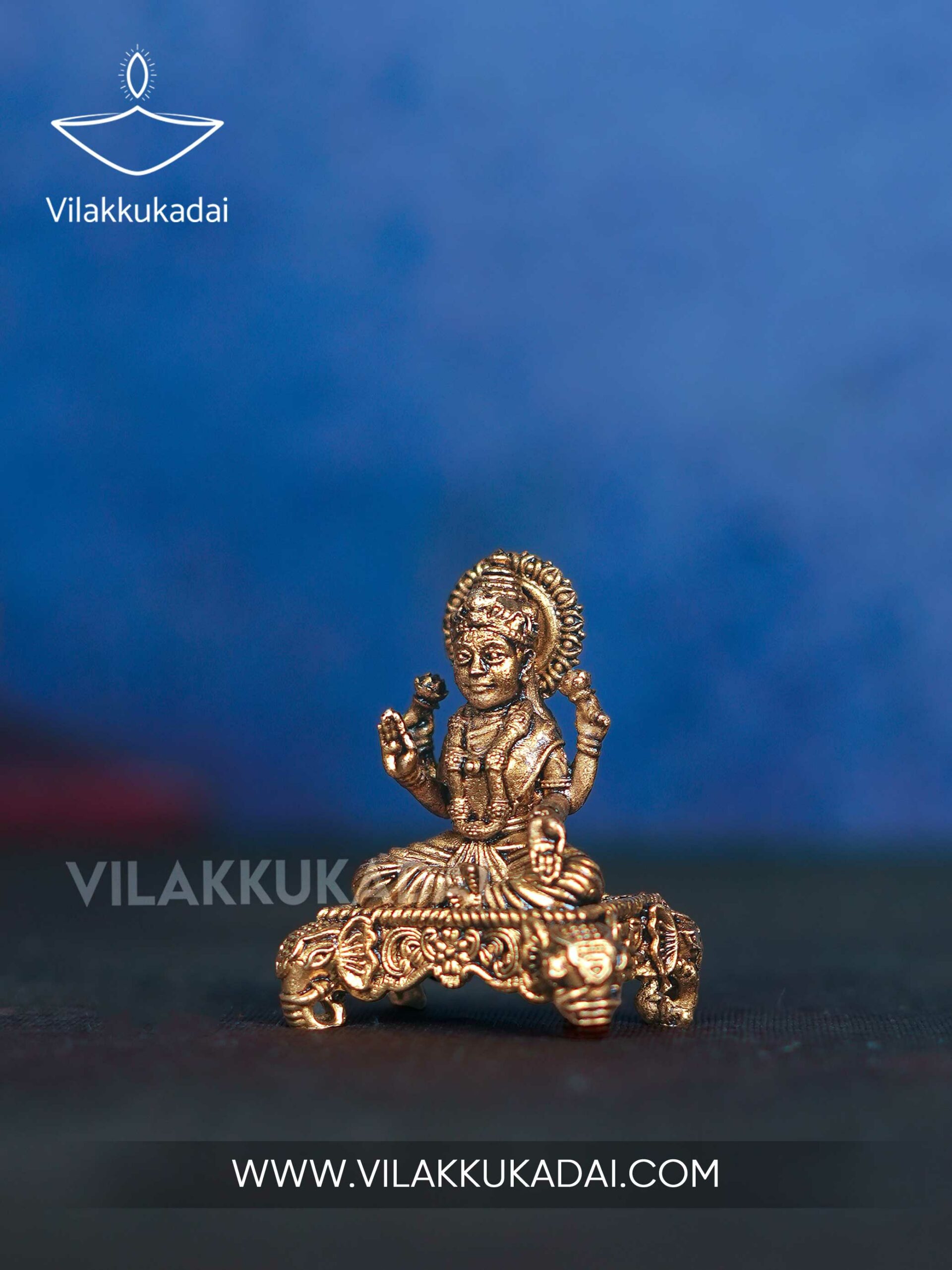 sac-lakshmi-4