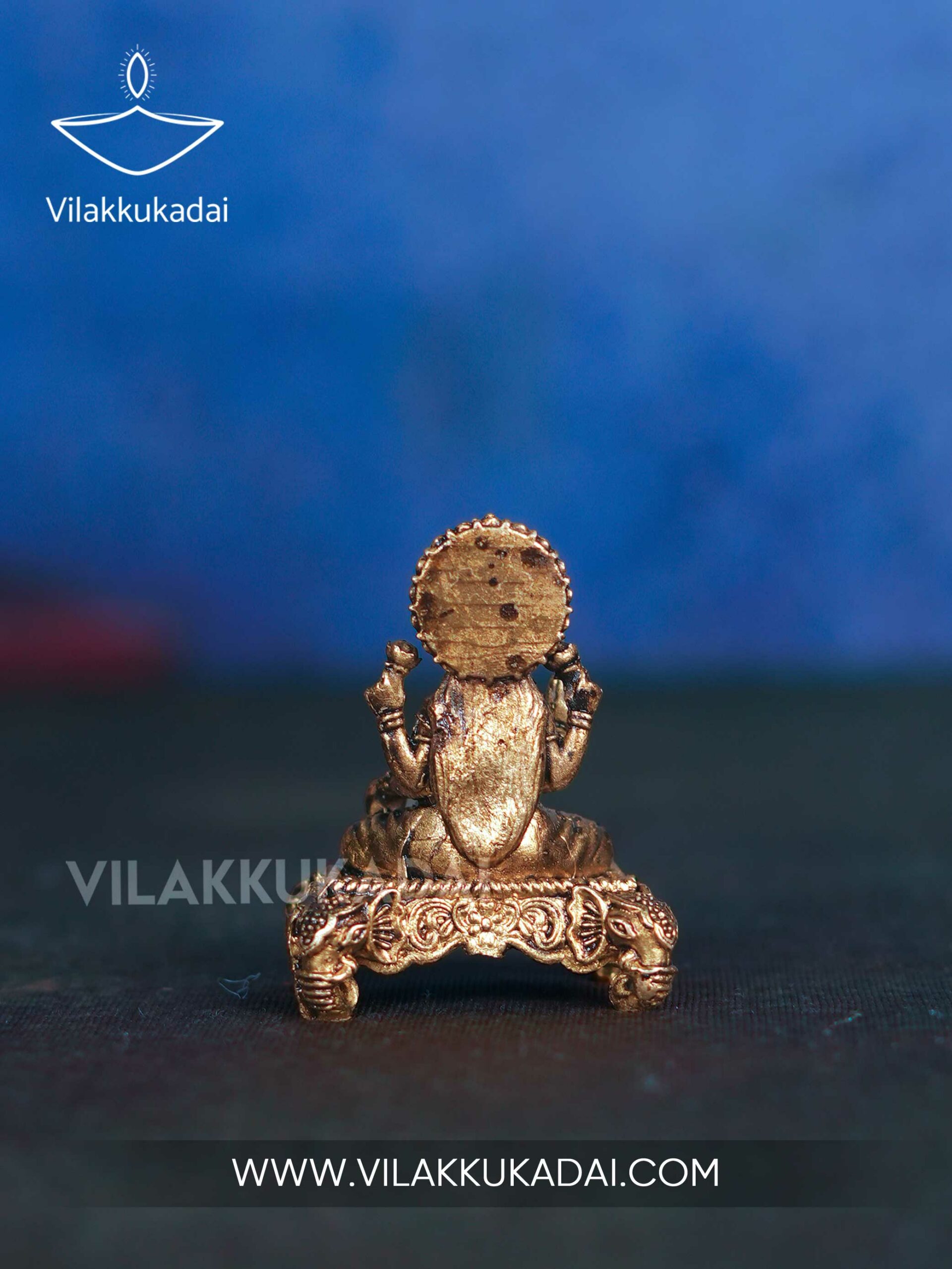 sac-lakshmi-5