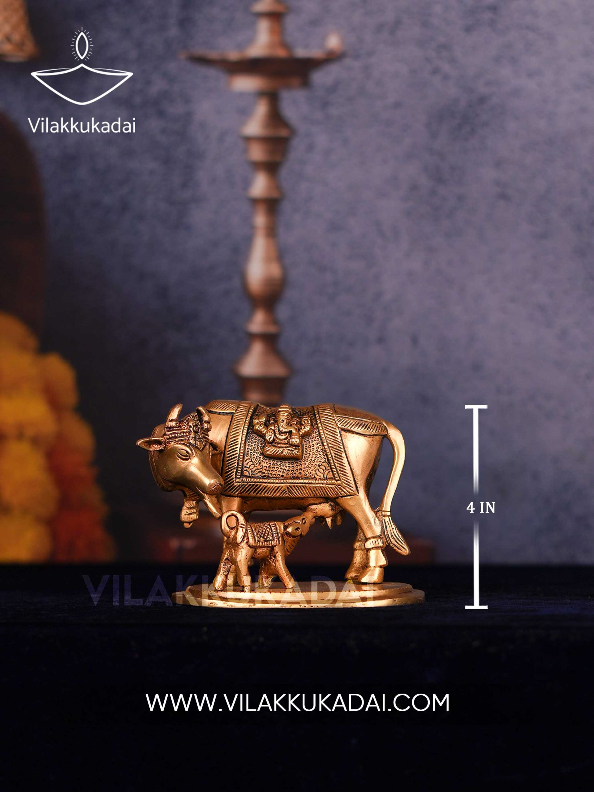 cow(4)-2