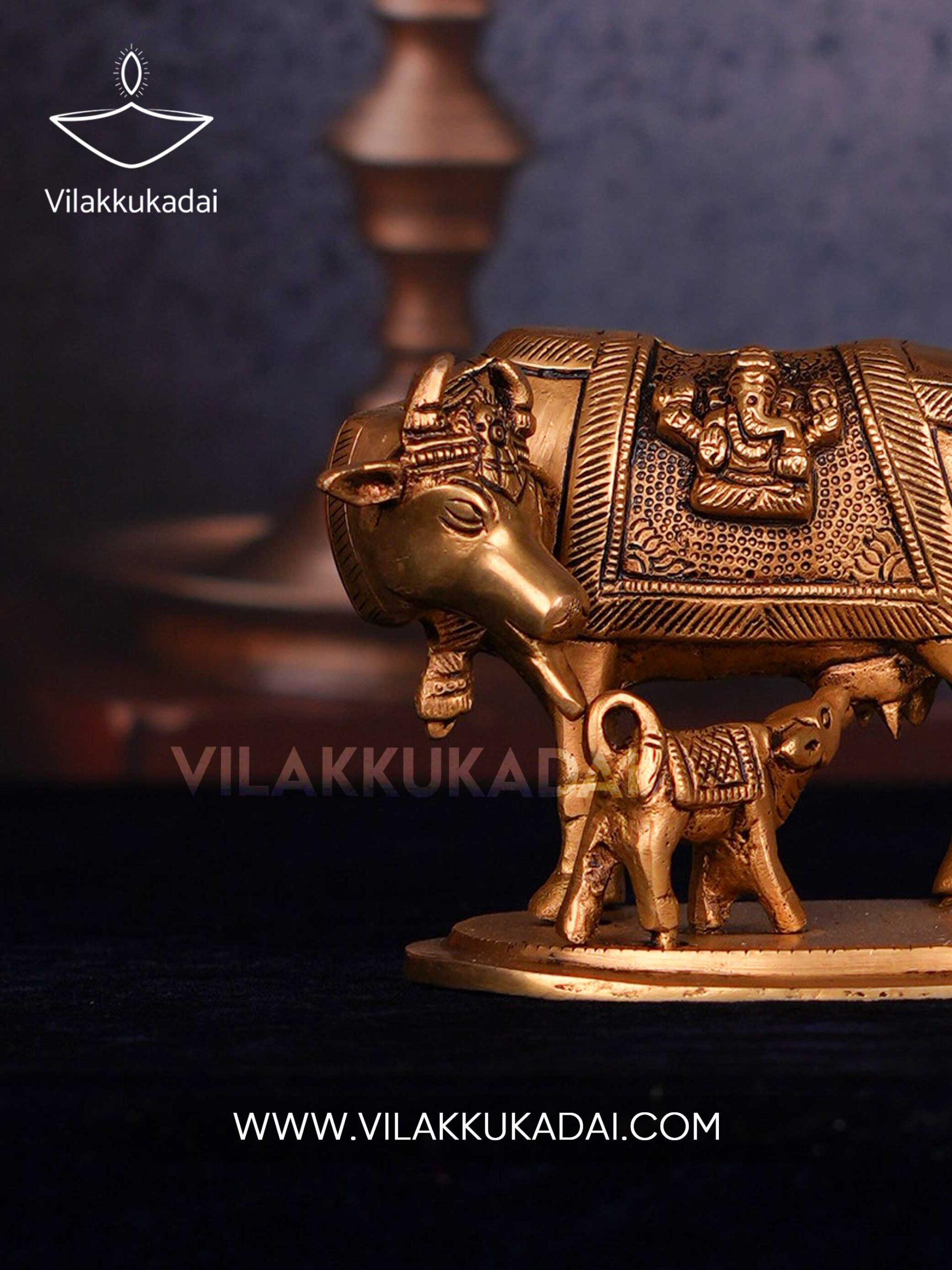 cow(4)-3
