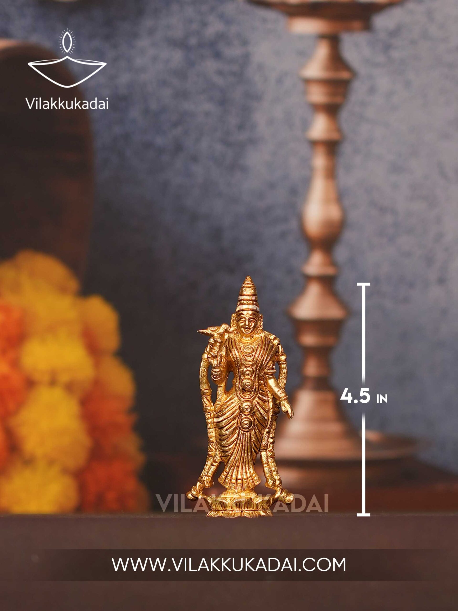meenakshi-(4.5)-2
