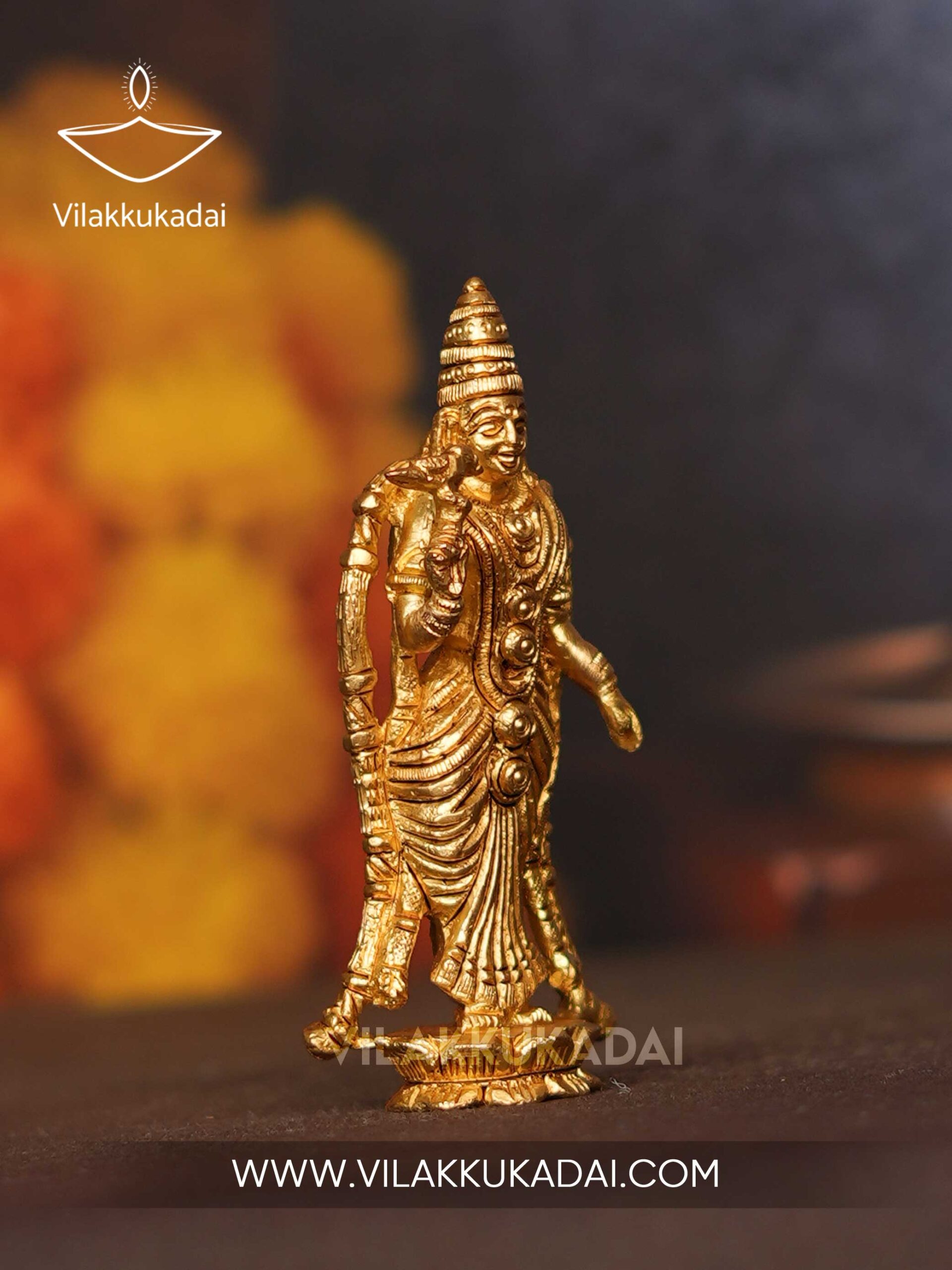 meenakshi-(4.5)-3