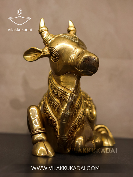 nandhi b 4.jpg