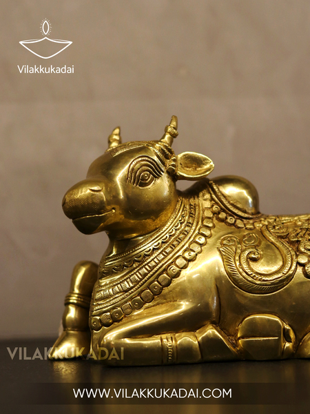 nandhi s 1.jpg