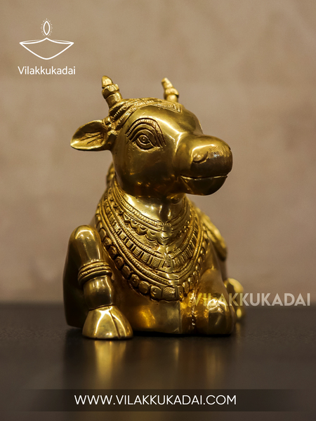 nandhi s 2.jpg