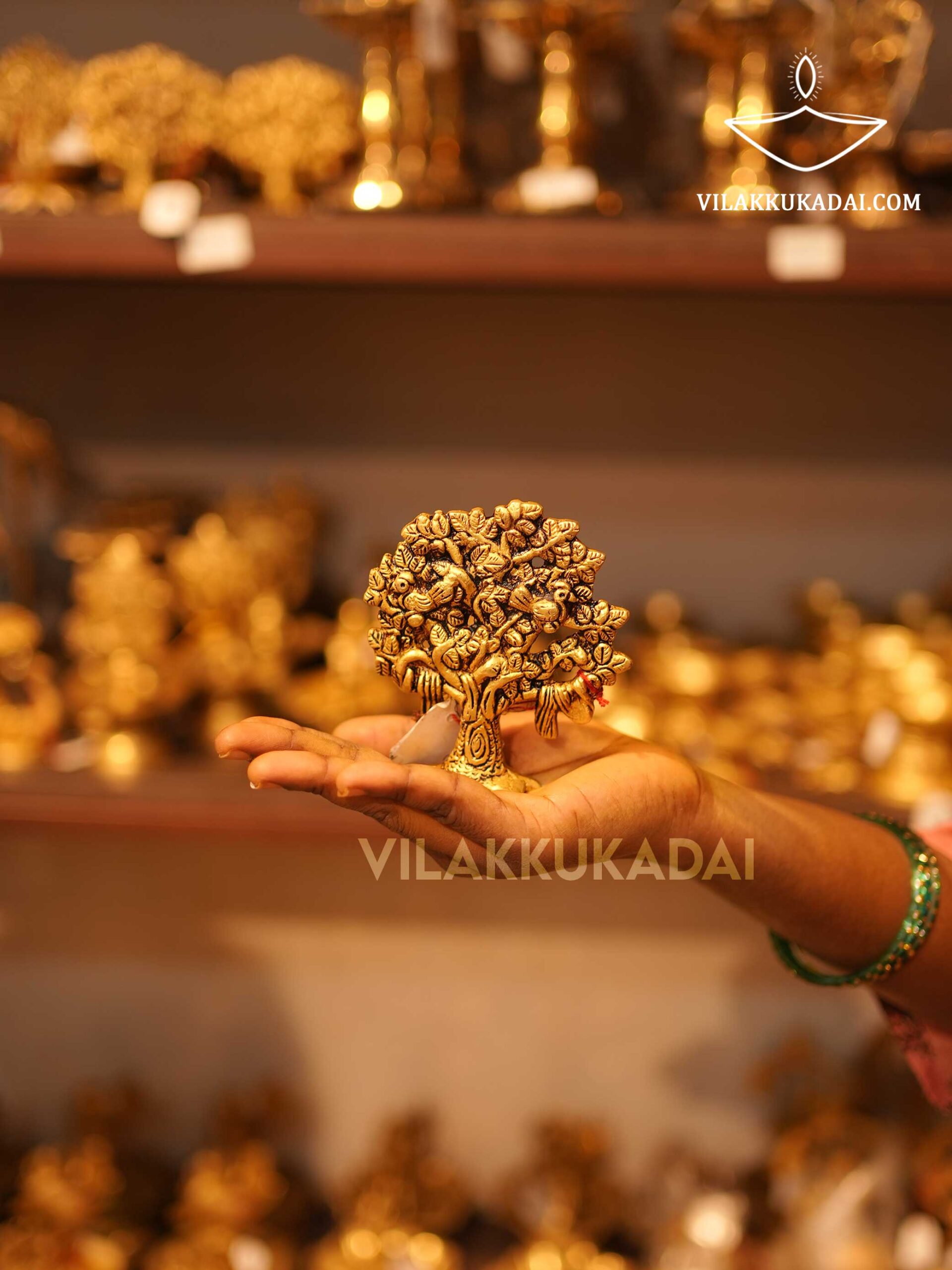 Karpaga-virutcham-tree-4