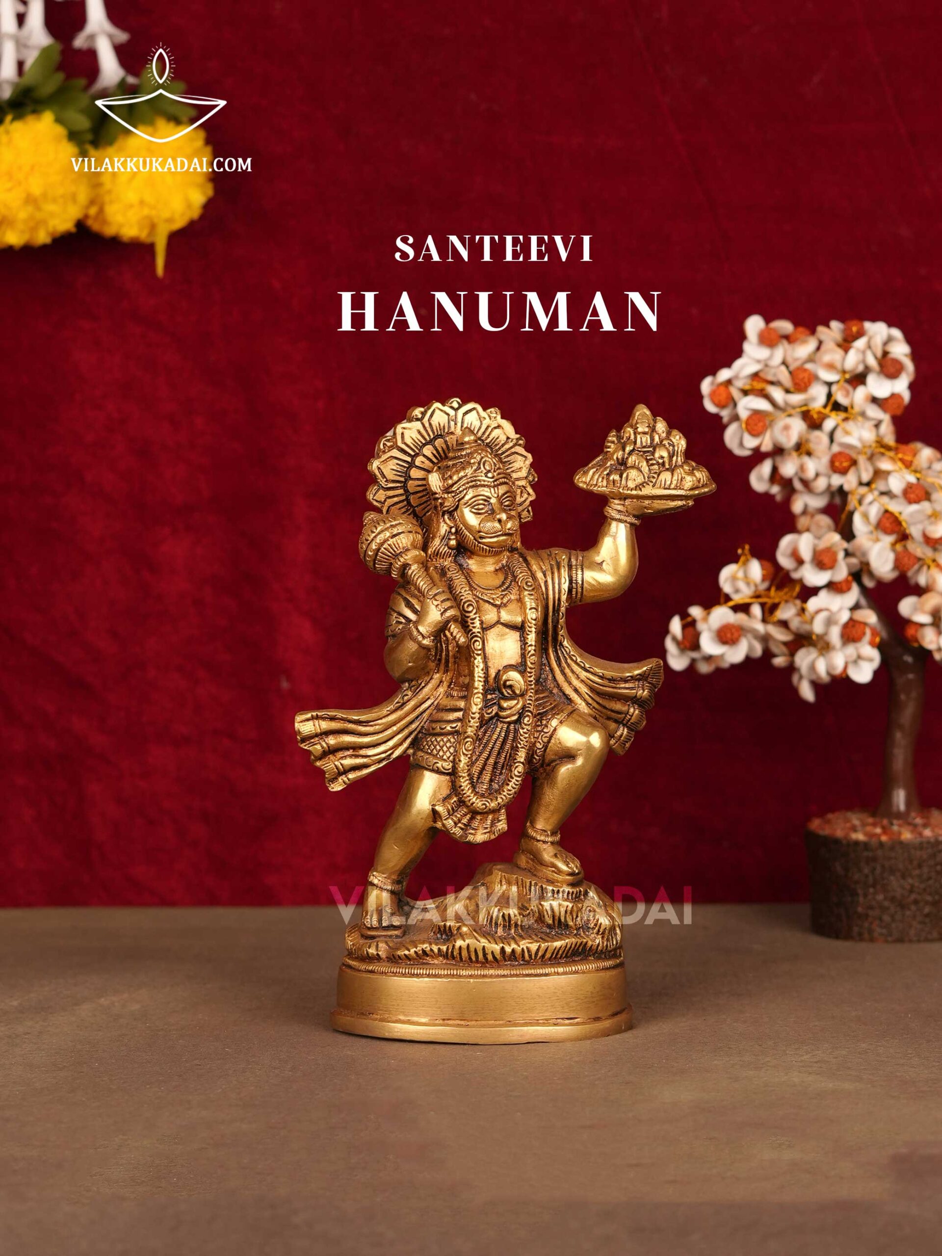 SANTEEVI-HANUMAN--1